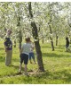 Easter in the Orchard